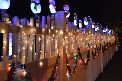 DSC_5772 (Large).JPG